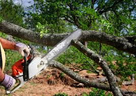 Best Utility Line Clearance  in Rhome, TX